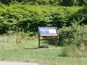 photo of Presqu'ile Pioneer Cemetery