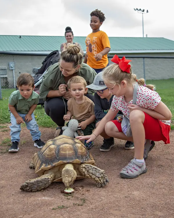 Group of children gathers around a turtle eating a piece of apple.